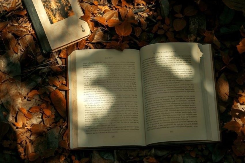 just mercy reading guide