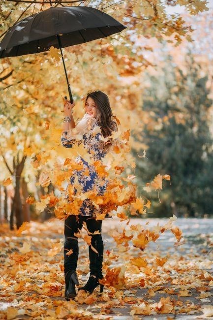 free fall worksheet with answers pdf
